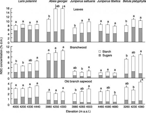 中科院地理所青藏高原高山樹線形成機理研究取得進展