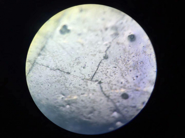 痕跡鑑定二 痕跡鑑定二