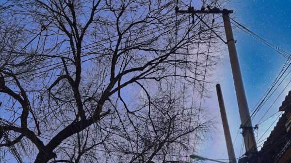 一箇中年人的作死之路，不值得同情，卻值得反思