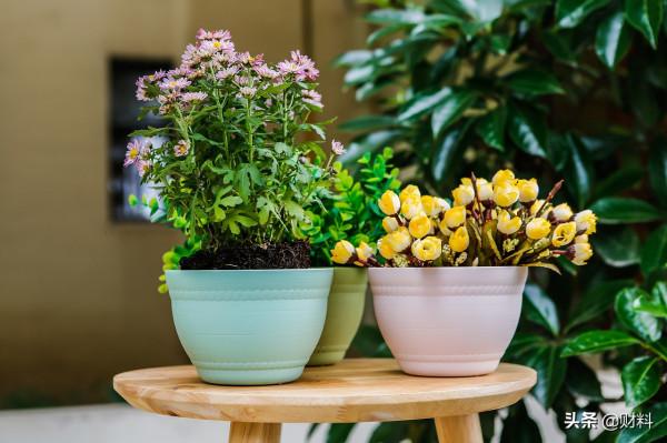 喜歡網上購物的朋友，有5類東西別買！損失金錢，申訴還難追責