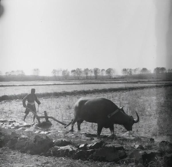 密令:匪首黃道生兇殘狡詐,屢次漏網,如難活捉,可以擊斃 密令:匪首黃道生兇殘狡詐,屢次漏網,如難活捉,可以擊斃
