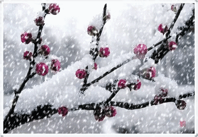 散文.雪花漫天情入誰懷 散文.雪花漫天情入誰懷