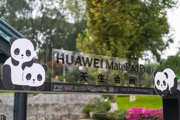國際熊貓日,華為平板攜手成都熊貓基地創作熊貓圖鑑 國際熊貓日,華為平板攜手成都熊貓基地創作熊貓圖鑑