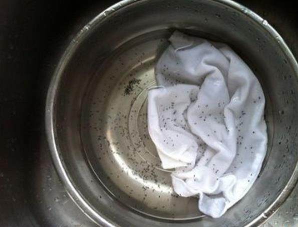 “小黑飛”肆虐，澆水加一點“蚊香”，無異味，比殺蟲劑強太多