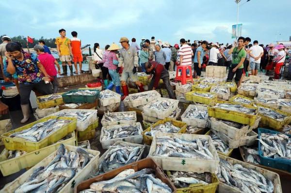 進入冬季,不管有錢沒錢,這5種海魚多給家人吃,營養豐富純天然 進入冬季,不管有錢沒錢,這5種海魚多給家人吃,營養豐富純天然