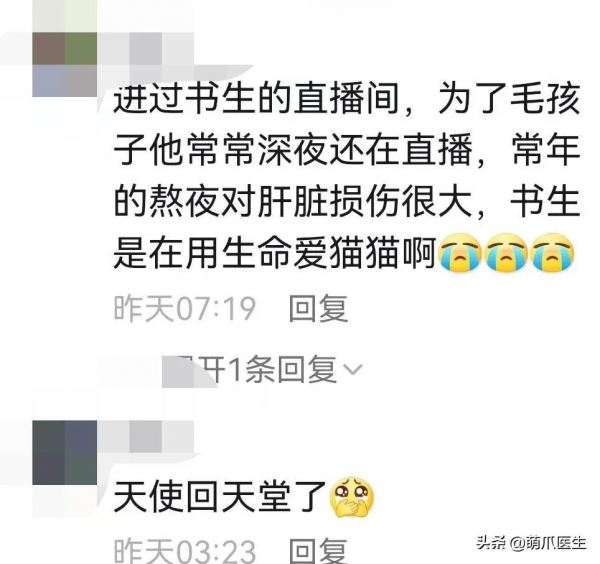 100只貓還在，這位狸奴書生卻永遠走了&hellip;&hellip;