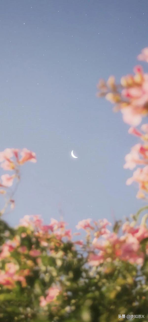 桌布上，我在橋上看風景