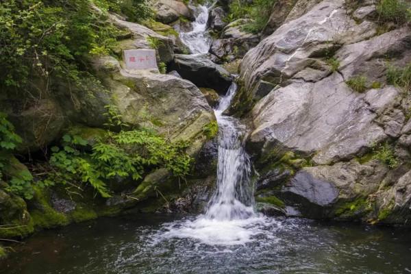 用什麼水來澆花?有門道 用什麼水來澆花?有門道