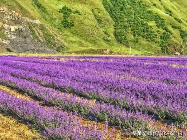 遊記：第一次去西藏的準備工作（乾貨）