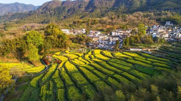 有一種心動，叫黟縣的四季