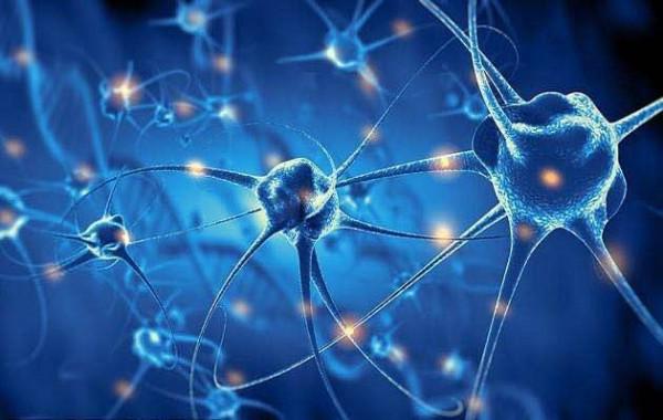 人類有沒有可能像被圈養的動物，時刻被一個高等文明注視著？