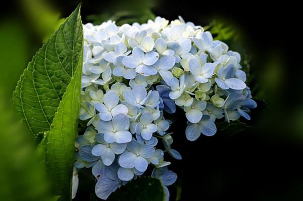 &OpenCurlyDoubleQuote;有無福氣，一看便知&rdquo;：一個家庭的福氣，取決於這三個人的貌相