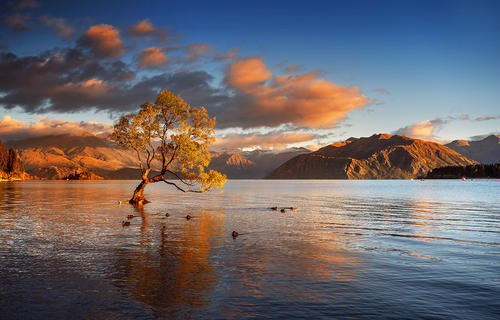 散文：人到中年，不動聲色，也是一種智慧