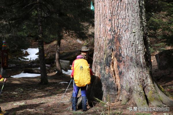 這條徒步線路太美了，這線路適合想去而沒有去過高原的人
