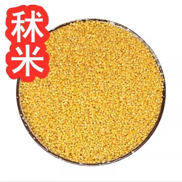 中藥古今研究：秫米