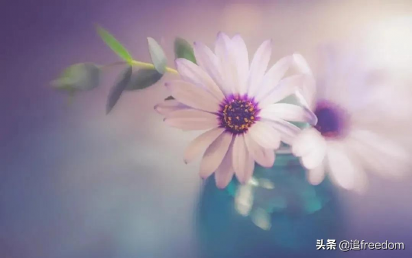 年會中&OpenCurlyDoubleQuote;365天帶薪休假&rdquo;小夥別笑敗給現實。網友：他是人間清醒