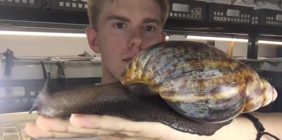 20張比你想象中要大的動物，比人還大的螃蟹