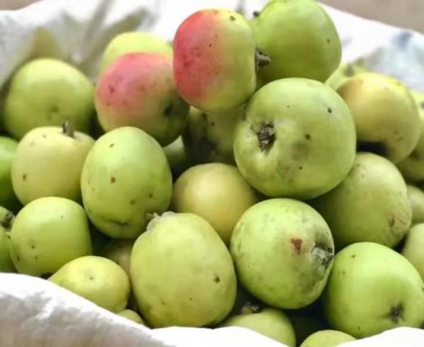 雲南的各種奇葩水果，吃法獨特，我還能叫出17種，都認識算你厲害