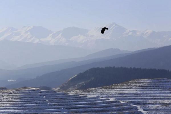 今日大雪,且以深情共白頭 今日大雪,且以深情共白頭