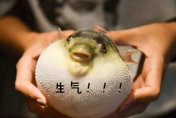 這是屬於紗線的魔法～揭秘冬奧會美國代表團黑科技羽絨服