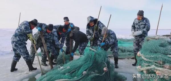 達裡湖冬捕開始啦!快來一睹這場神秘的盛宴吧! 達裡湖冬捕開始啦!快來一睹這場神秘的盛宴吧!