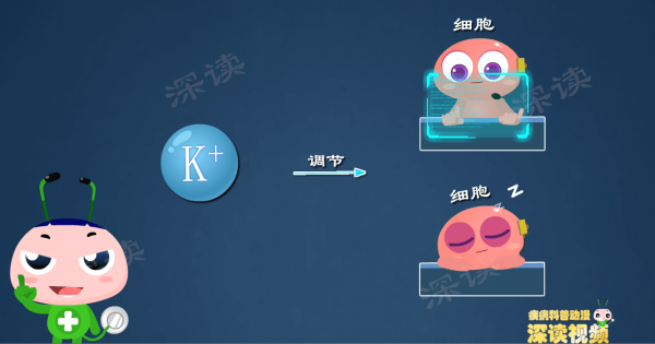 胳膊腿為啥沒力?躺著不動也心亂跳?動漫揭秘高鉀血癥致死全過程 胳膊腿為啥沒力?躺著不動也心亂跳?動漫揭秘高鉀血癥致死全過程