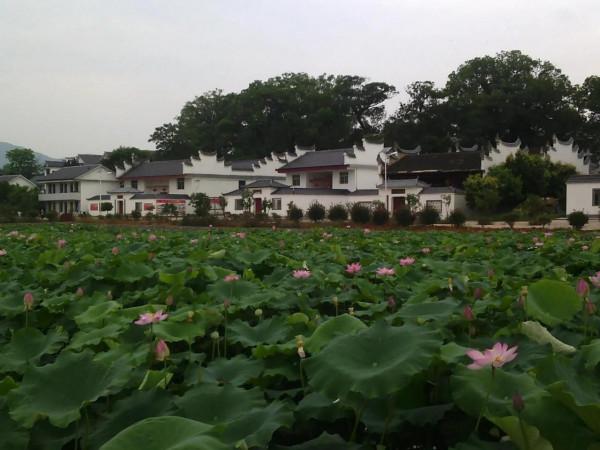 潔源：在紅軍老家沙洲壩，別有一源幽