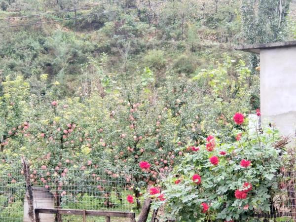 32歲,終究活成了最討厭的那種人,也明白了,冷暖自知,悲喜自渡 32歲,終究活成了最討厭的那種人,也明白了,冷暖自知,悲喜自渡