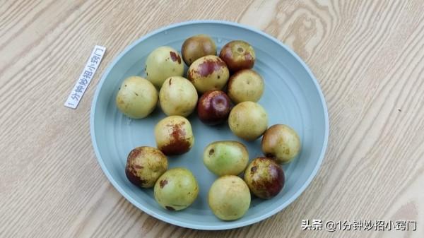 秋天，5種水果要多吃，維生素一個比一個高，看完記得告訴家人