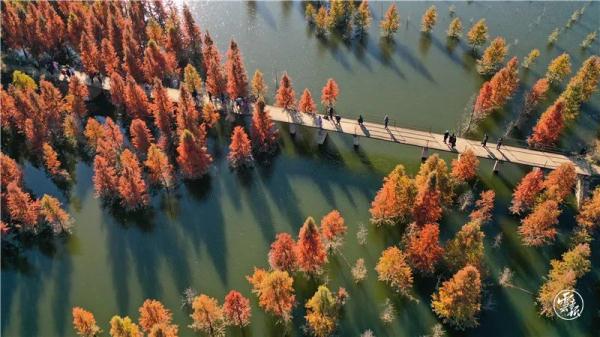 這也太太太美了吧！你覺得適合約誰去？