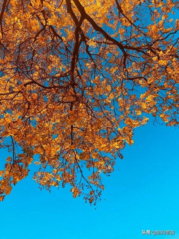 如果沒有疫情，此刻我勸你一定要去一趟北京...