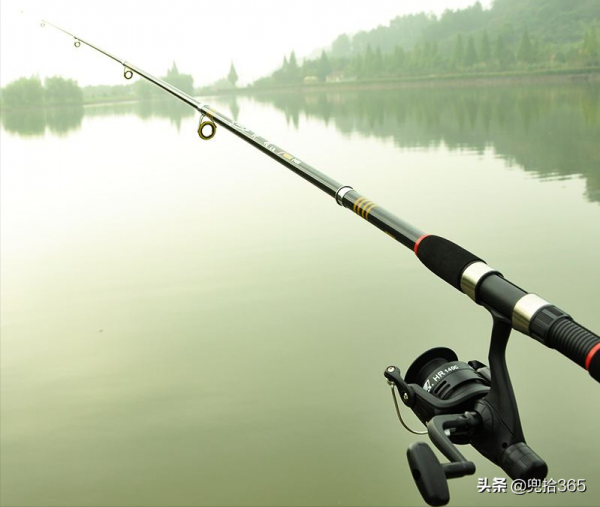 四川一男子水庫裡野釣，魚一條沒有卻意外收穫了一隻雞，咋回事？