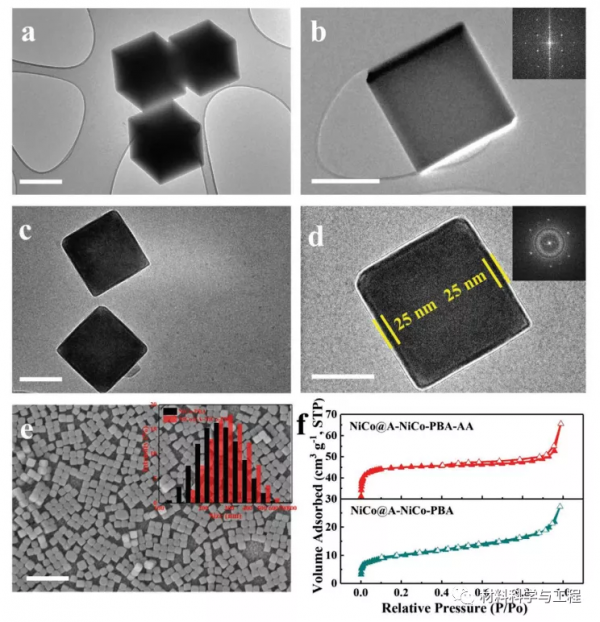 帝國理工學院《AFM》：一種用於水分解的雙功能電催化劑