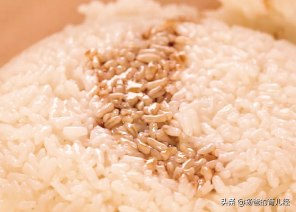 飯糰這樣做,孩子特喜歡,搭配牛油果和培根,吃一次念念不忘 飯糰這樣做,孩子特喜歡,搭配牛油果和培根,吃一次念念不忘