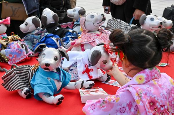 為機器狗“慶生” 為機器狗“慶生”