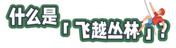 磨山最新玩法!在森林裡飛越穿梭,好刺激 磨山最新玩法!在森林裡飛越穿梭,好刺激