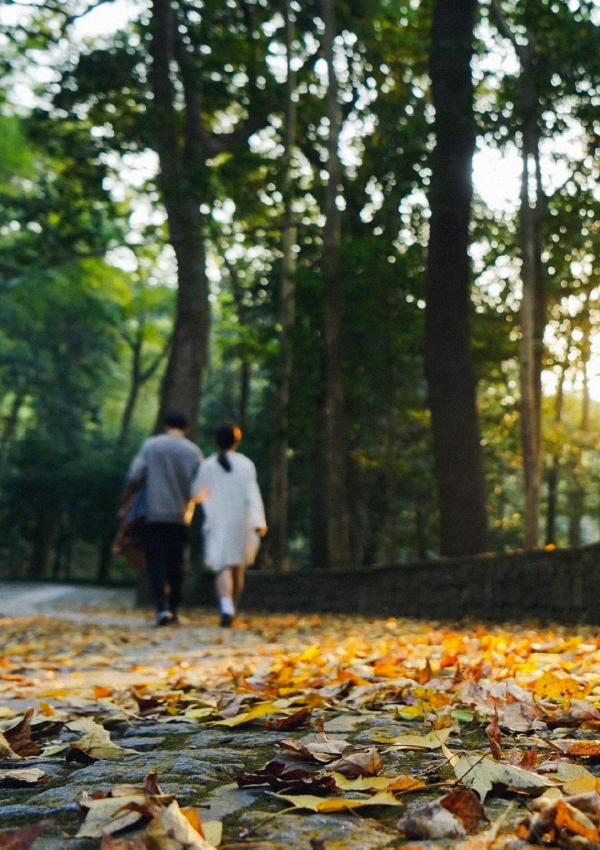你在哪月出生，就是哪首詩