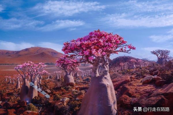 中東極樂島:破敗到還不如偏遠山村,守著金山過苦日子 中東極樂島:破敗到還不如偏遠山村,守著金山過苦日子