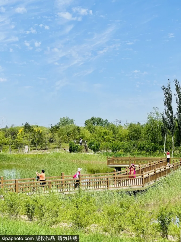 免費！北京這座“巨無霸”公園清涼宜人，被稱“北方小江南”卻少為人知~