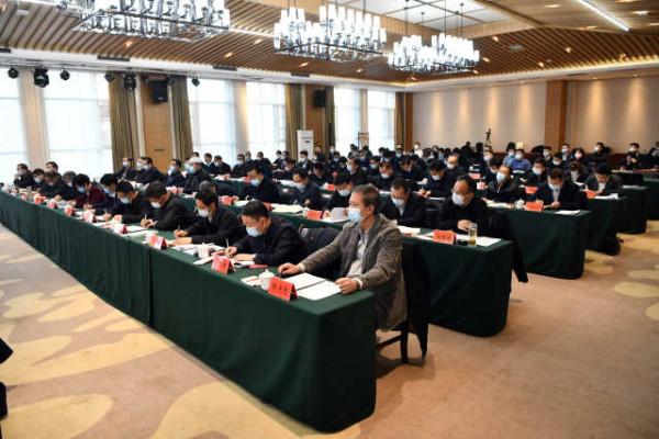 乘風破浪的“寧夏牛”