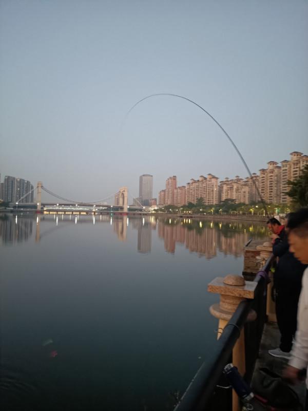 苦守大魚不如改變釣法，說不定也會有驚喜