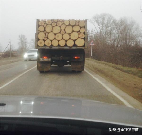 35張“活久見”的完美圖片，強迫症瞬間被治癒了