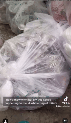 哥大畢業投行富家女,竟街頭拾荒4年,美國網友還瘋狂點贊 哥大畢業投行富家女,竟街頭拾荒4年,美國網友還瘋狂點贊