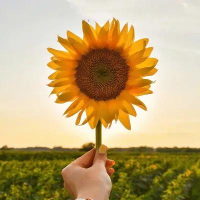 女生活的越來越好的徵兆