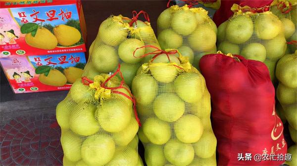 剛進入採收期，收購商突然不來了，6萬噸果子面臨延期，果農著急