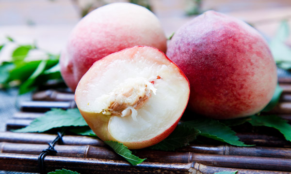 廣東省十大特產 廣東省十大特產