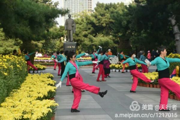 待得菊開時,誰曉其中味?——歷史上的詠菊詩 待得菊開時,誰曉其中味?——歷史上的詠菊詩