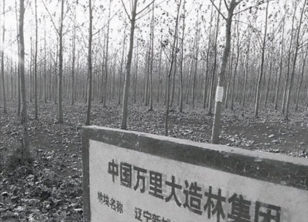 萬里大坑人？陳相貴一心想要做首富，靠善良的外表騙到12.79億