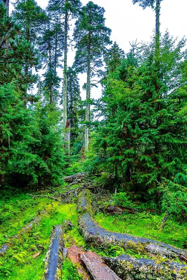 國內禁止外國人進入的7個景點,個個都美如畫,看完立刻想出發 國內禁止外國人進入的7個景點,個個都美如畫,看完立刻想出發