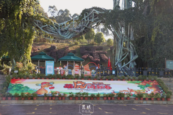 春節嗨玩預警！雲南野生動物園&OpenCurlyDoubleQuote;萌虎&rdquo;陪你賀新年，2022虎虎生威